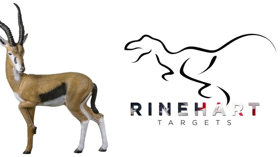 Rinehart Targets New 3-D Gazelle
