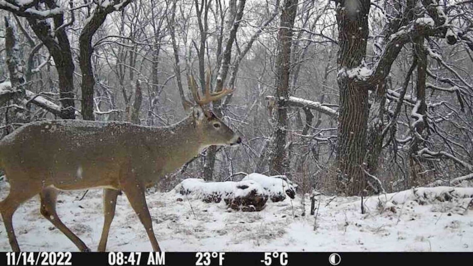 Kansas Bans Trail Cam Use on Public and Walk-In Lands