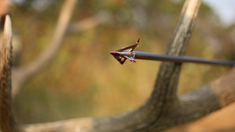 14 Tough-As-Nails Fixed-Blade Broadheads for 2018