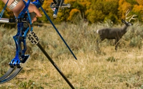 Must-Have Archery Targets for 2017