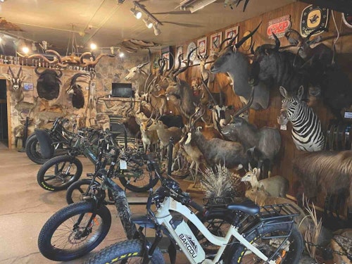 Dakota Archery sells everything from arrows to E-bikes, and also showcases impressive taxidermy. 